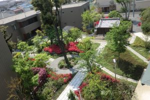 D屋上から観た中庭
